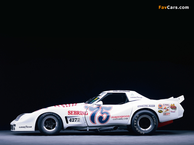 Greenwood Corvette IMSA Road Racing GT (C3) 1974–75 photos (640 x 480)