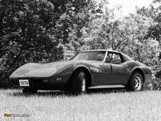 Corvette Stingray (C3) 1974–76 photos (640 x 480)