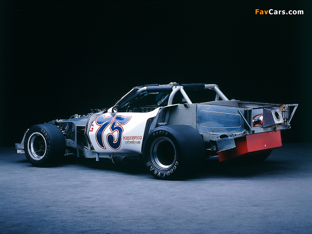 Greenwood Corvette IMSA Road Racing GT (C3) 1974–75 pictures (640 x 480)