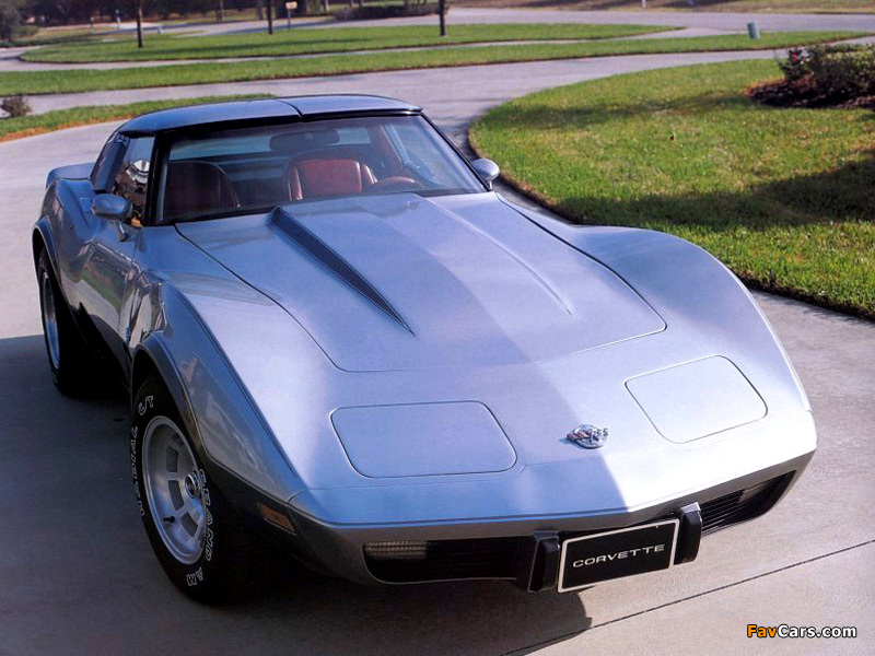 Corvette 25th Anniversary Edition (C3) 1978 images (800 x 600)