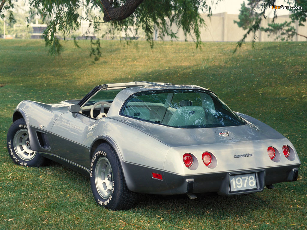 Corvette 25th Anniversary Edition (C3) 1978 images (1024 x 768)