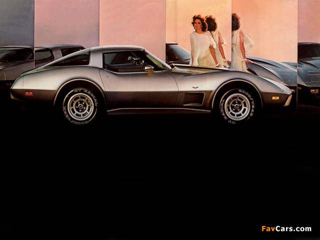 Corvette 25th Anniversary Edition (C3) 1978 images (640 x 480)