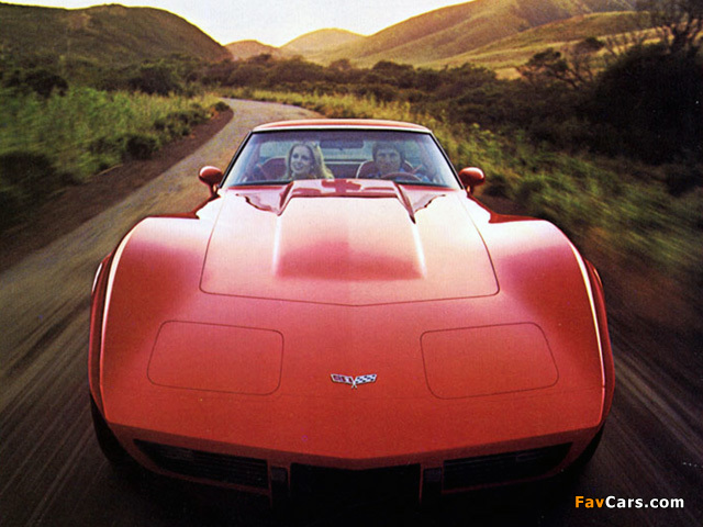 Corvette (C3) 1978–79 pictures (640 x 480)