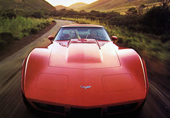 Corvette (C3) 1978–79 pictures