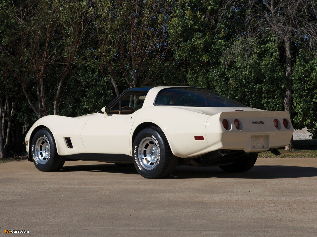Corvette (C3) 1980–82 images (1280 x 960)