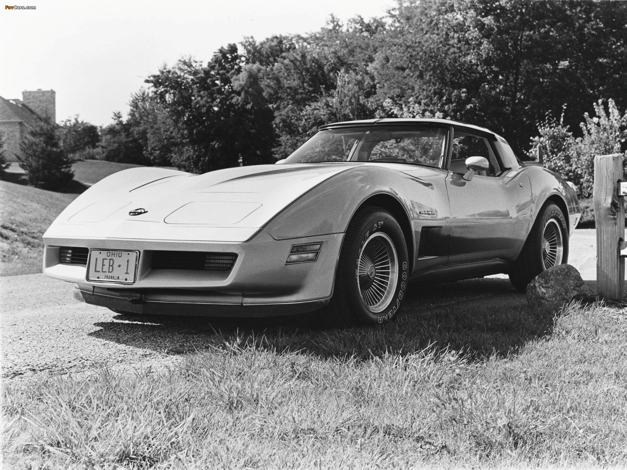 Corvette (C3) 1980–82 images (2048 x 1536)