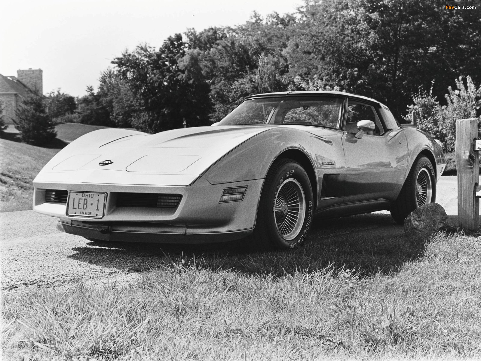 Corvette (C3) 1980–82 images (1600 x 1200)