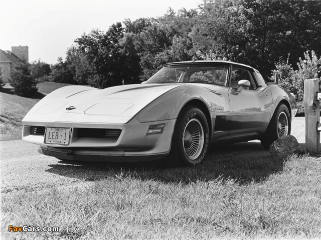 Corvette (C3) 1980–82 images (640 x 480)