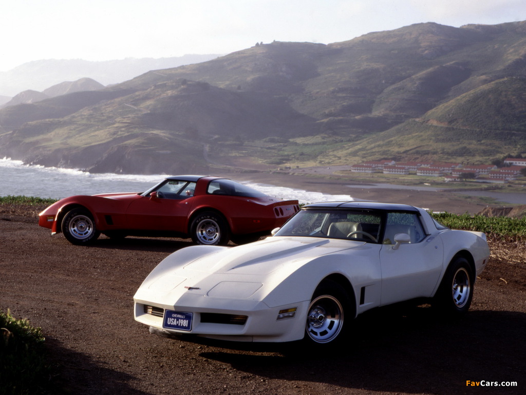 Corvette (C3) 1980–82 images (1024 x 768)