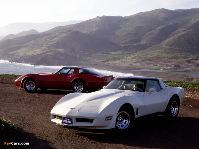 Corvette (C3) 1980–82 images (800 x 600)
