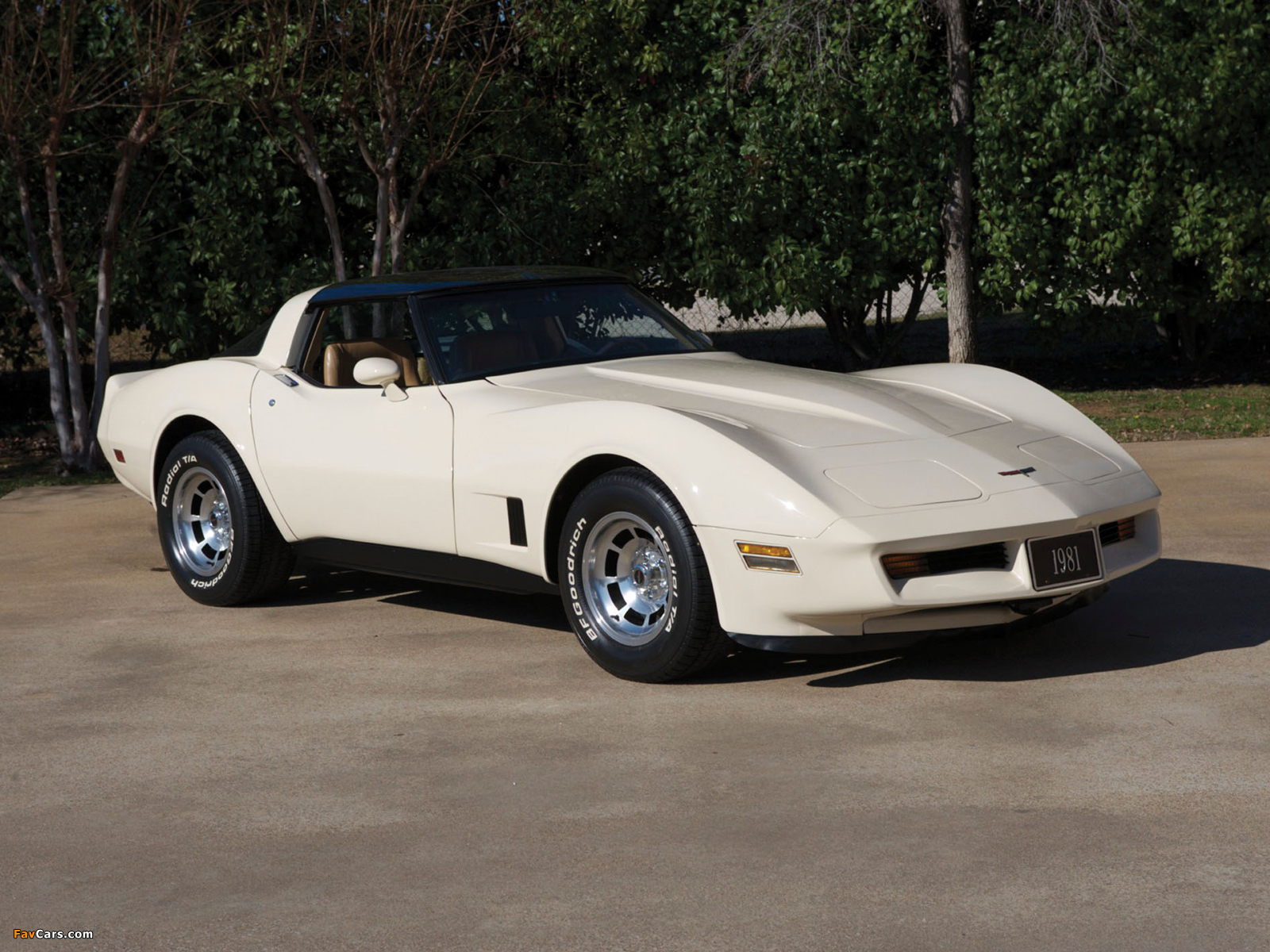 Corvette (C3) 1980–82 photos (1600 x 1200)