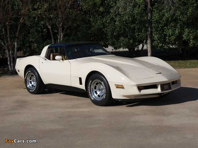 Corvette (C3) 1980–82 photos (640 x 480)