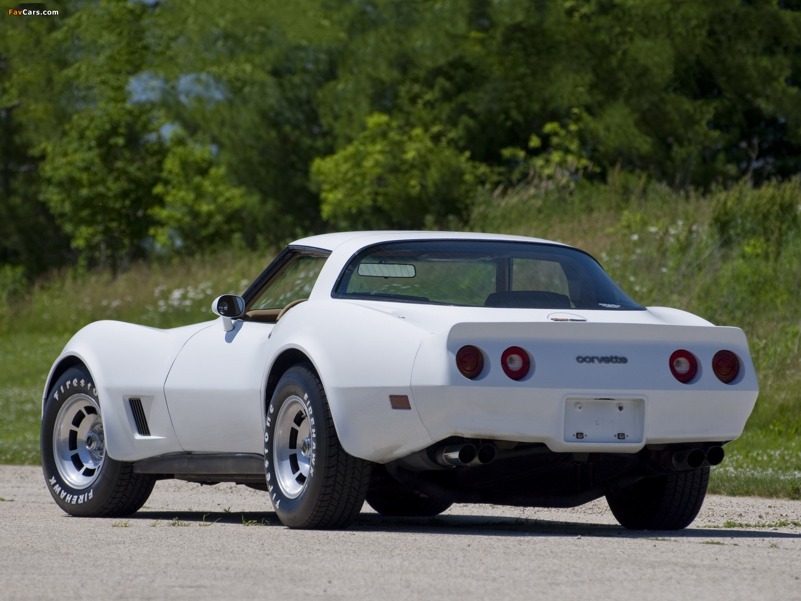 Corvette (C3) 1980–82 pictures (1600 x 1200)