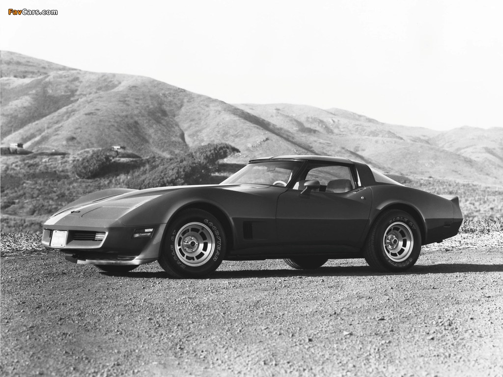 Corvette (C3) 1980–82 wallpapers (1024 x 768)