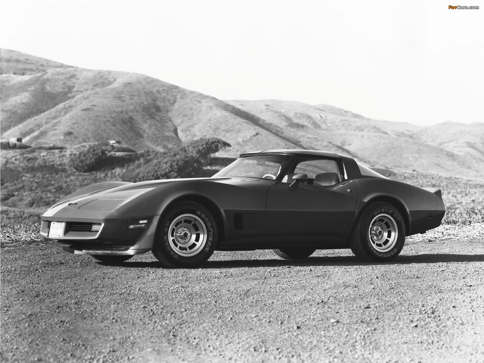 Corvette (C3) 1980–82 wallpapers (1600 x 1200)