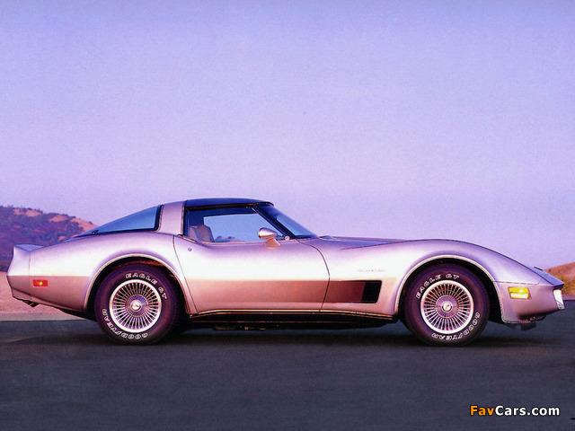 Corvette Collector Edition (C3) 1982 pictures (640 x 480)