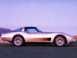 Corvette Collector Edition (C3) 1982 pictures
