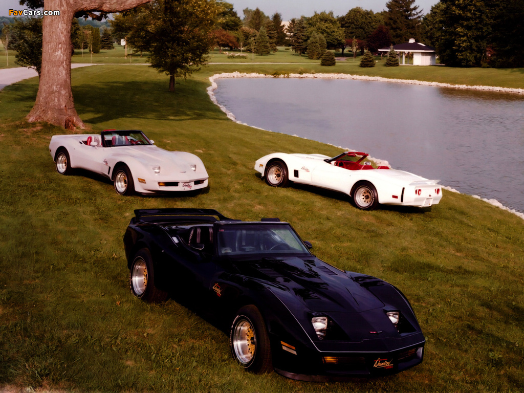 Images of Corvette Duntov Turbo Convertible (C3) 1980 (1024 x 768)