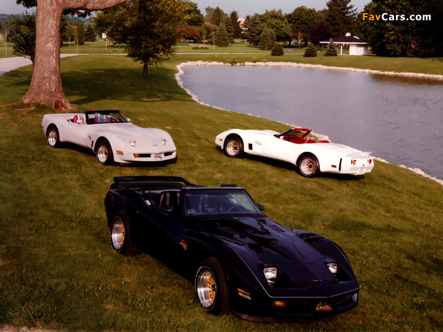 Images of Corvette Duntov Turbo Convertible (C3) 1980 (640 x 480)