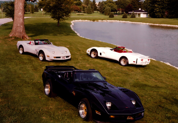 Images of Corvette Duntov Turbo Convertible (C3) 1980