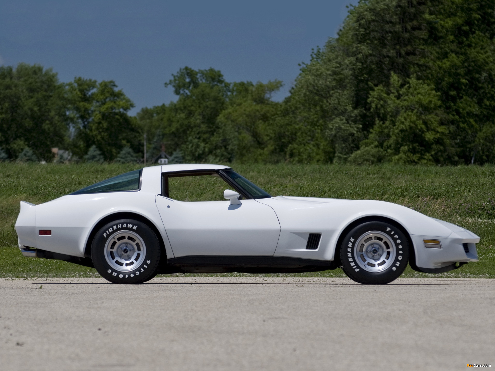 Images of Corvette (C3) 1980–82 (2048 x 1536)