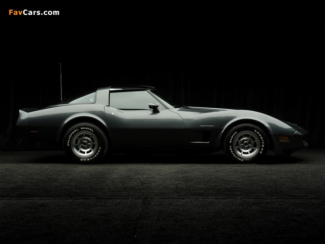 Images of Corvette (C3) 1980–82 (640 x 480)