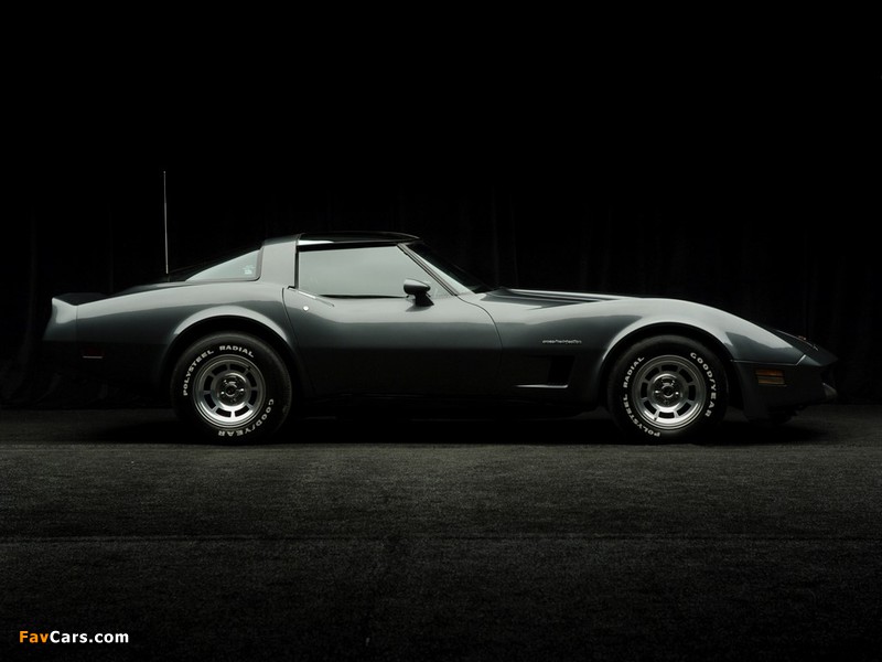 Images of Corvette (C3) 1980–82 (800 x 600)