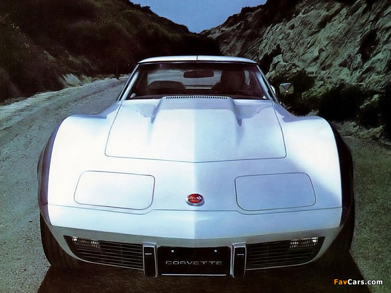 Photos of Corvette Stingray (C3) 1974–76 (800 x 600)