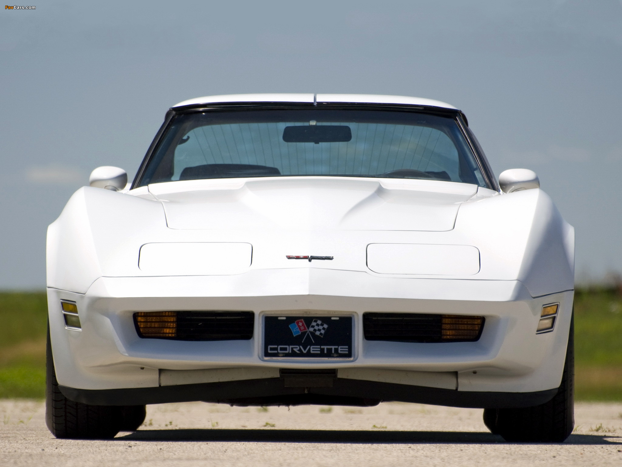 Photos of Corvette (C3) 1980–82 (2048 x 1536)