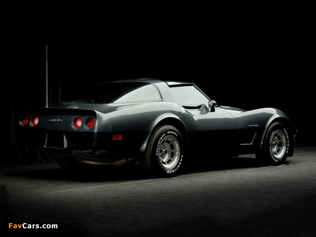 Photos of Corvette (C3) 1980–82 (640 x 480)