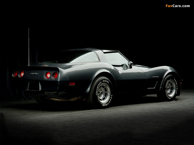 Photos of Corvette (C3) 1980–82 (800 x 600)
