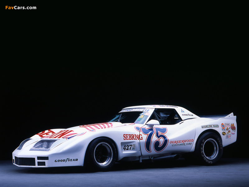 Pictures of Greenwood Corvette IMSA Road Racing GT (C3) 1974–75 (800 x 600)