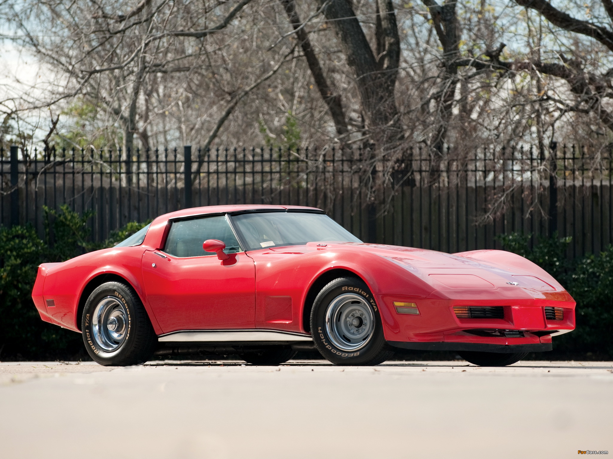 Pictures of Corvette (C3) 1978–79 (2048 x 1536)