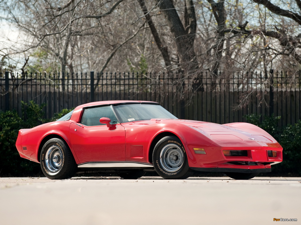 Pictures of Corvette (C3) 1978–79 (1280 x 960)