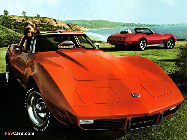 Corvette Stingray (C3) 1974–76 wallpapers (640 x 480)