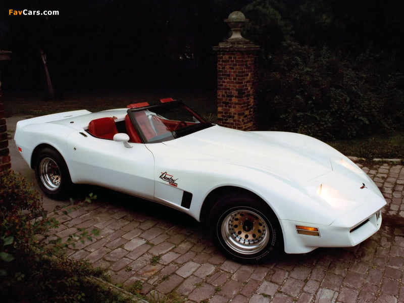 Corvette Duntov Turbo Convertible (C3) 1980 wallpapers (800 x 600)