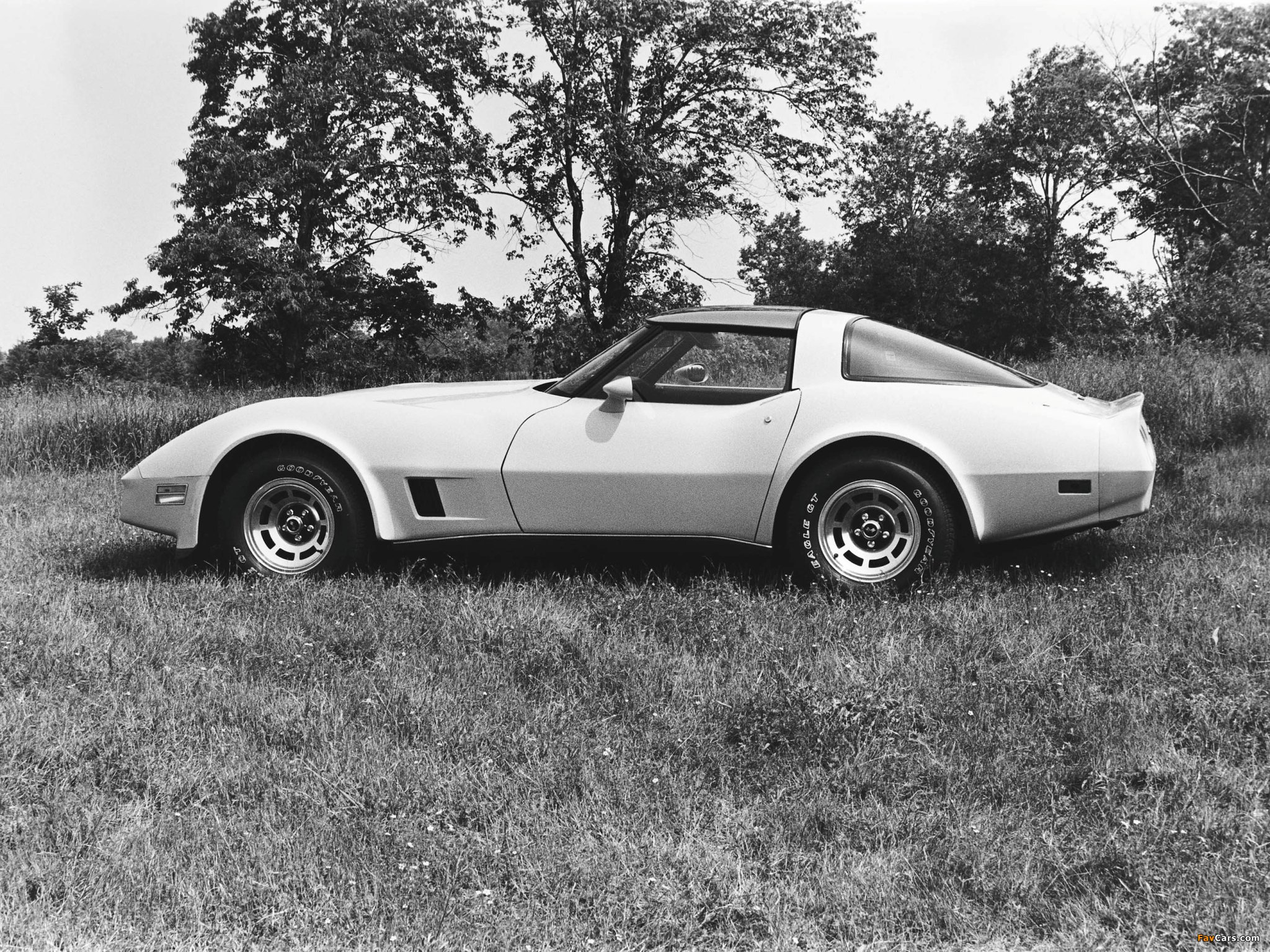 Corvette (C3) 1980–82 wallpapers (2048 x 1536)