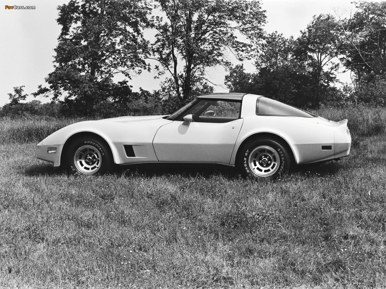 Corvette (C3) 1980–82 wallpapers (1280 x 960)