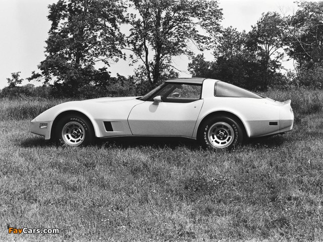 Corvette (C3) 1980–82 wallpapers (640 x 480)