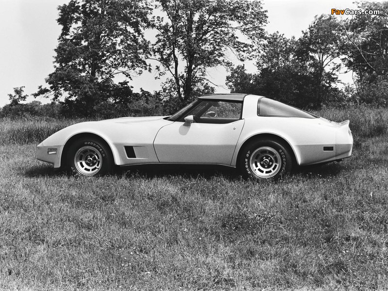 Corvette (C3) 1980–82 wallpapers (800 x 600)