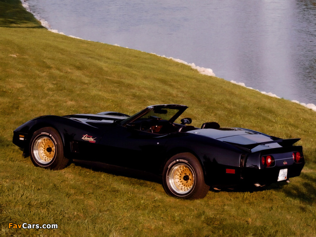 Corvette Duntov Turbo Convertible (C3) 1980 wallpapers (640 x 480)