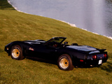 Corvette Duntov Turbo Convertible (C3) 1980 wallpapers