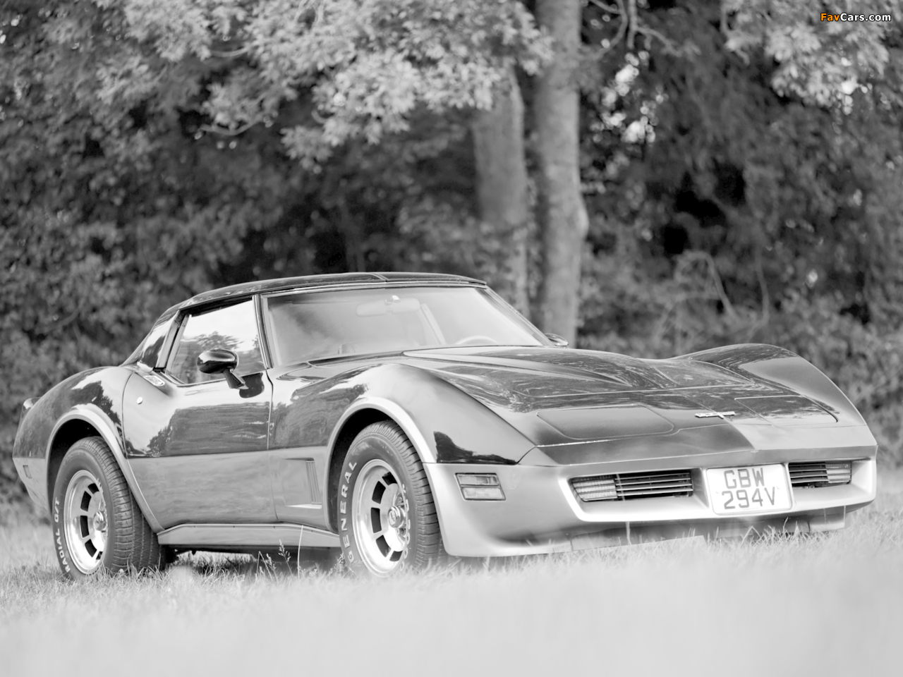 Corvette (C3) 1980–82 wallpapers (1280 x 960)
