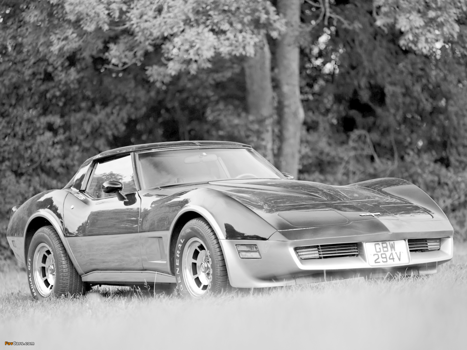 Corvette (C3) 1980–82 wallpapers (1600 x 1200)
