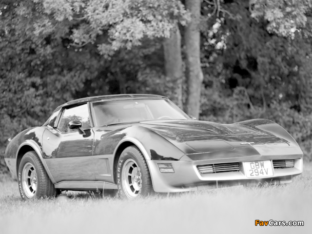Corvette (C3) 1980–82 wallpapers (640 x 480)