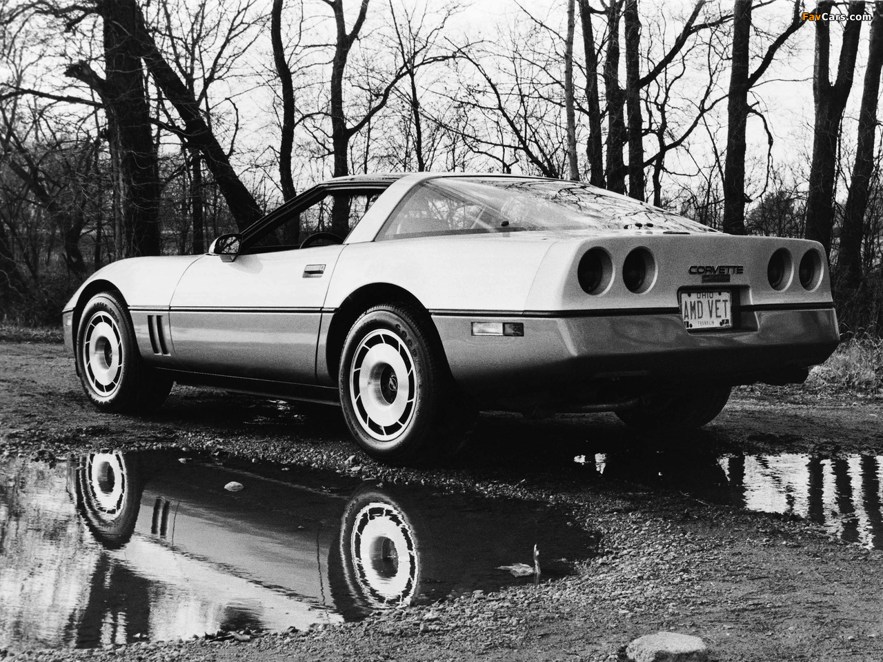 Corvette Coupe (C4) 1983–91 pictures (1280 x 960)