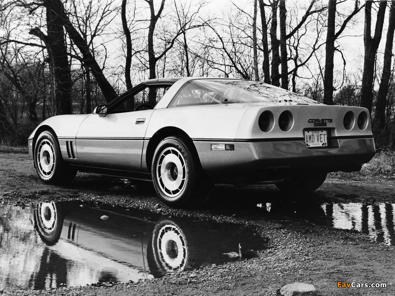 Corvette Coupe (C4) 1983–91 pictures (800 x 600)