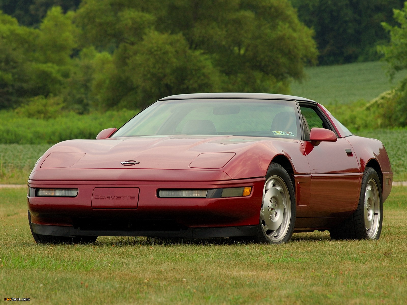 Corvette Coupe (C4) 1991–96 images (1600 x 1200)
