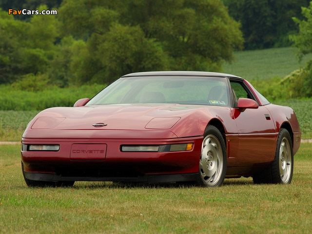 Corvette Coupe (C4) 1991–96 images (640 x 480)