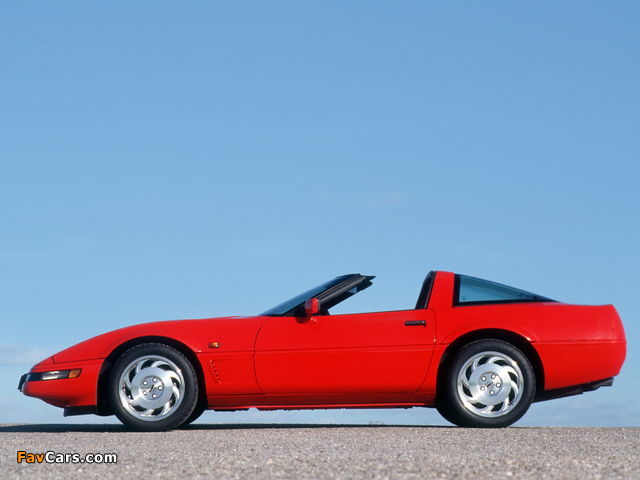 Corvette Coupe (C4) 1991–96 images (640 x 480)